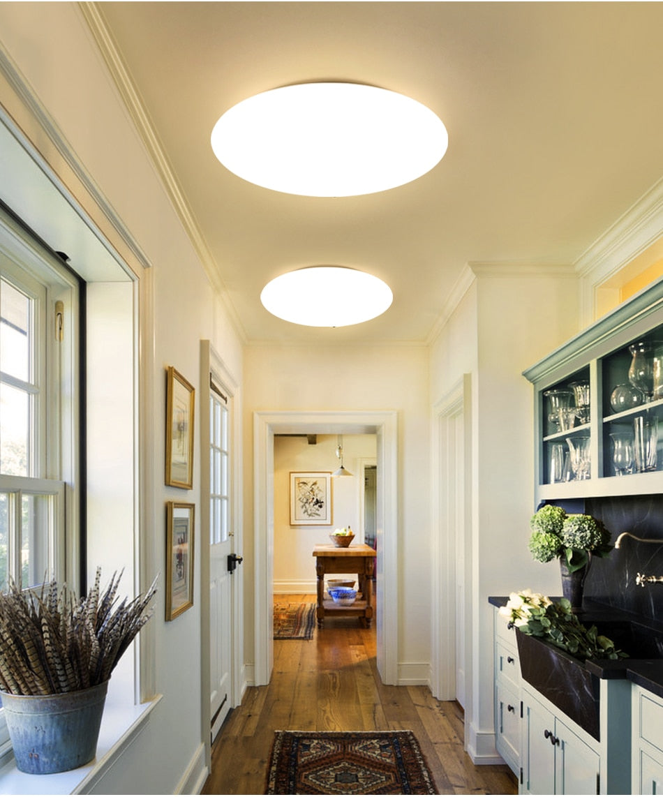Modern LED Ceiling Light Fixture Lamp